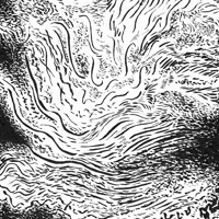 Reverse-Genesis